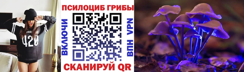 купить наркоту  Магадан  мориарти Telegram  Галлюциногенные грибы MAGIC MUSHROOMS 