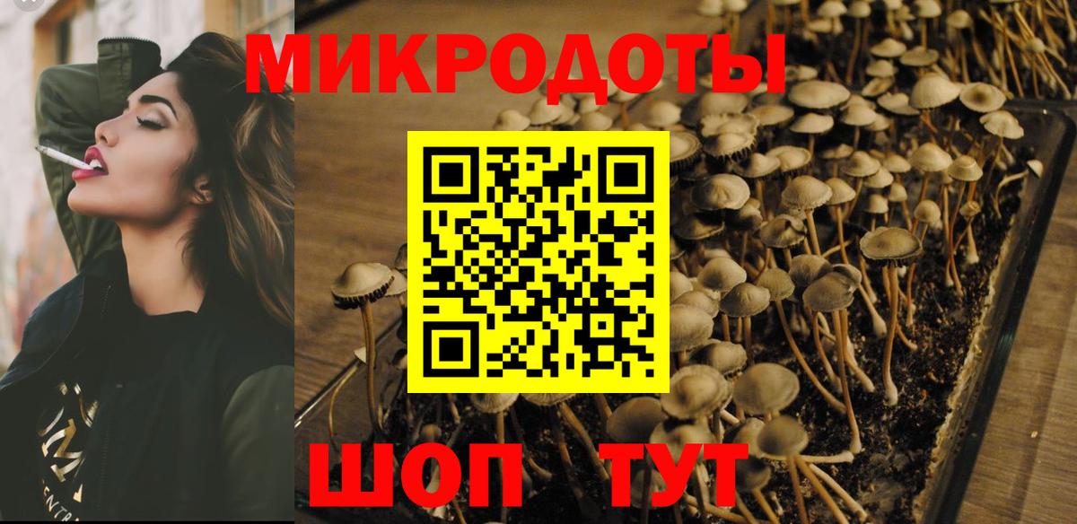 Магадан  Псилоцибиновые грибы Cubensis  Галлюциногенные грибы Magic Shrooms  Вход с VPN 